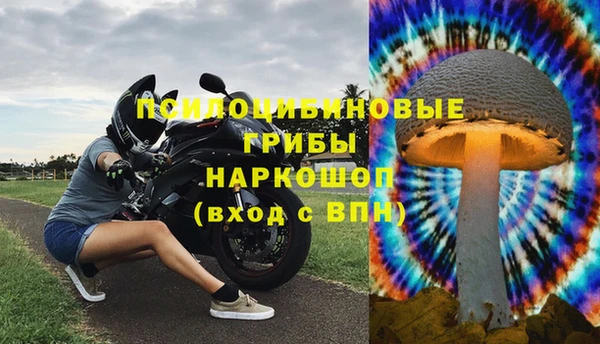 гидра Абинск
