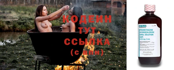 шишки Володарск