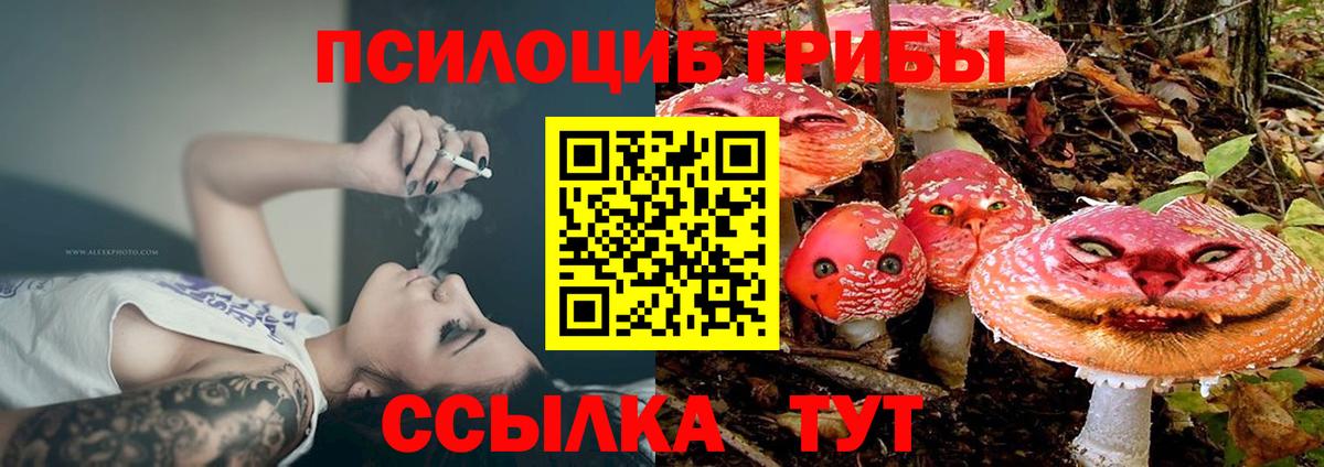 Псилоцибиновые грибы GOLDEN TEACHER  Вход с VPN  Десногорск  Псилоцибиновые грибы мицелий 