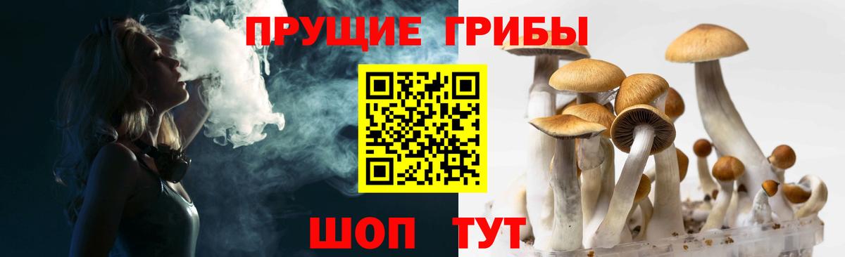 Галлюциногенные грибы мухоморы Десногорск